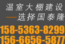 國泰隆聯(lián)系電話：158-5363-8299