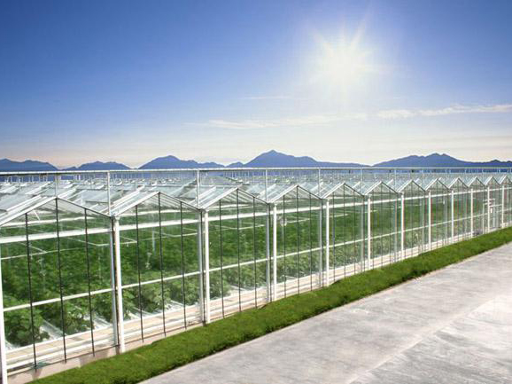 玻璃溫室大棚