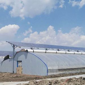 光伏溫室大棚