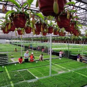 農(nóng)業(yè)將迎來發(fā)展黃金期,把握四大機(jī)遇大筆生財(cái)