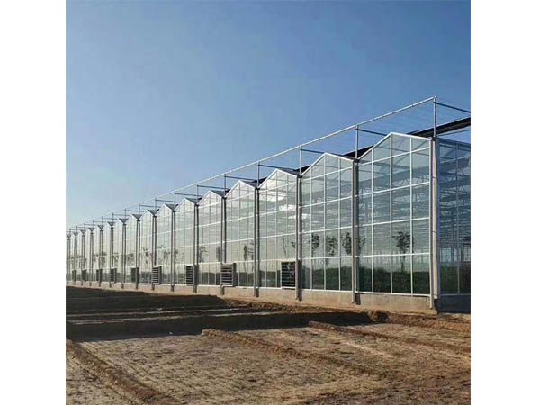 src=http _filecdn.tuiguang91.com_uploads_14364_21385_202105_e6127c90cd8dff6262737b75aa54867e.jpg&refer=http _filecdn.tuiguang91.com&app=2002&size=f9999,10000&q=a80&n=0&g=0n&fmt=jpeg.jpg