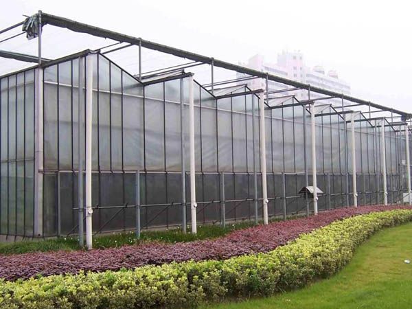 玻璃溫室